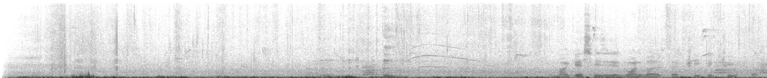 Dominohabicht - ML630326969