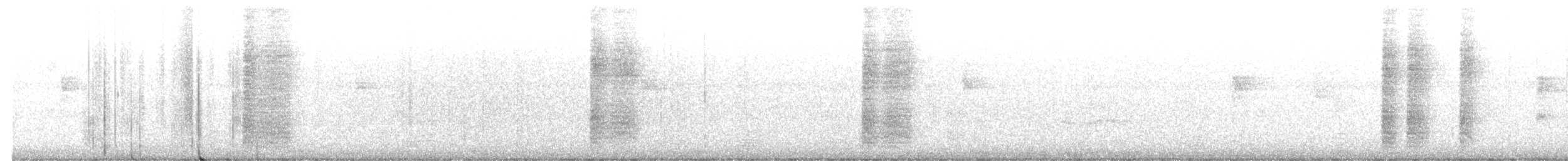 Black Catbird - ML630329329