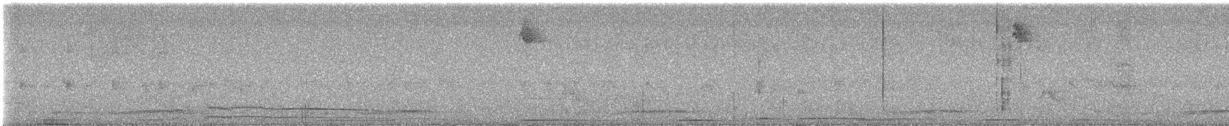 Hispaniolan Nightjar - ML630337303