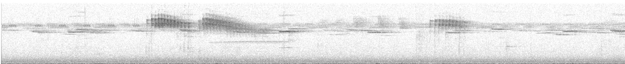 White-throated Oxylabes - ML630341564