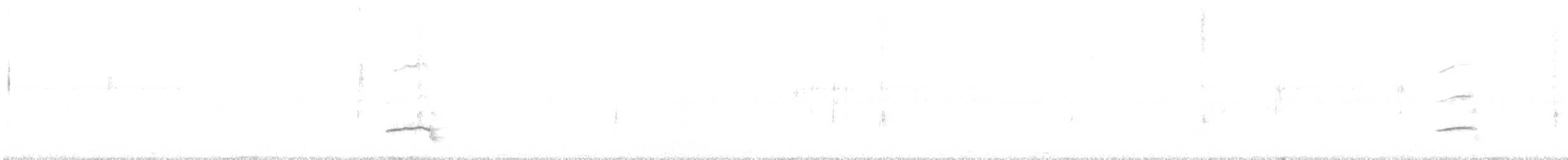 Sturnelle à sourcils blancs - ML630343028