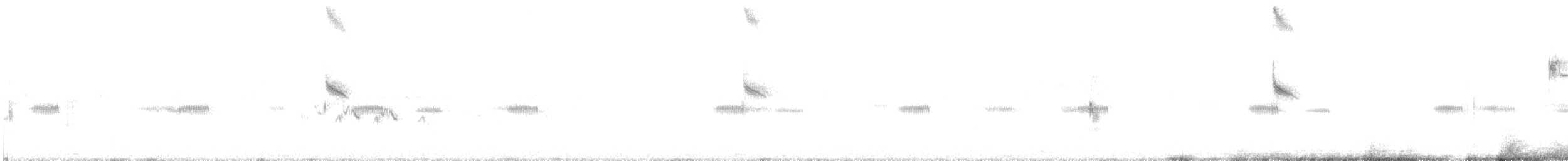 Sturnelle à sourcils blancs - ML630343029