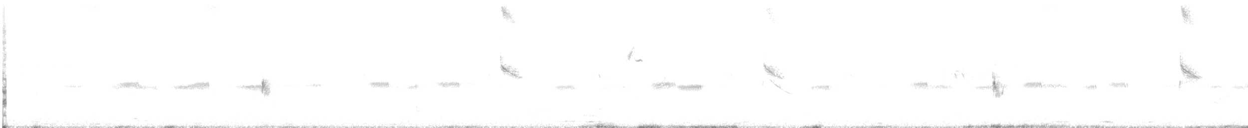 Sturnelle à sourcils blancs - ML630343030