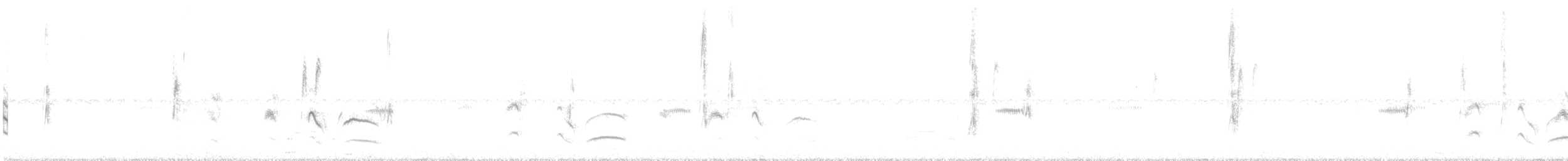 Sturnelle à sourcils blancs - ML630343031