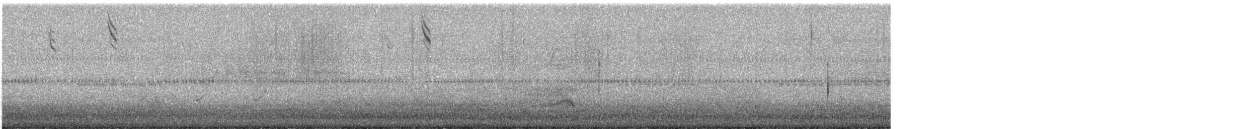 Hibou des marais (flammeus) - ML630346677