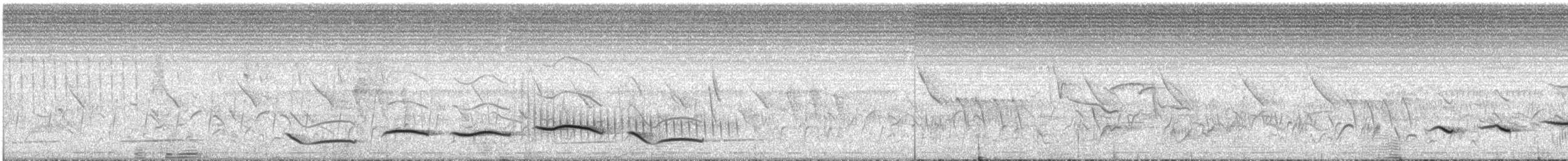 Black-crowned Tchagra - ML630346707