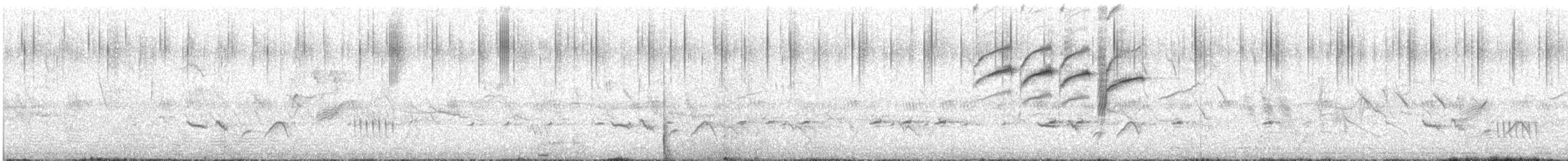 Southern Cordonbleu - ML630347143