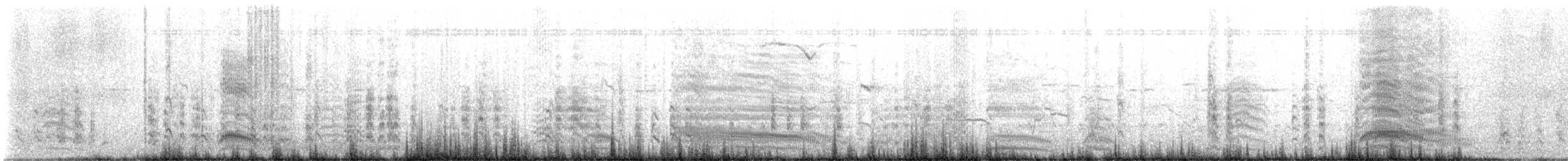 Hartlaub's Gull - ML630362324