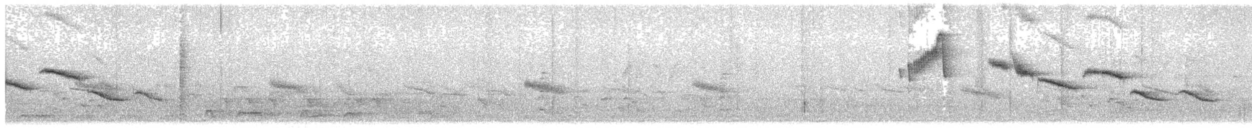 Nilgiri Sholakili - ML630364199