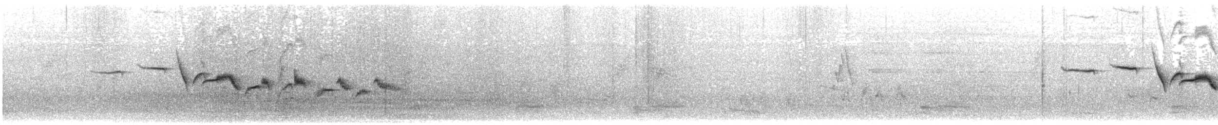 White-bellied Sholakili - ML630364542