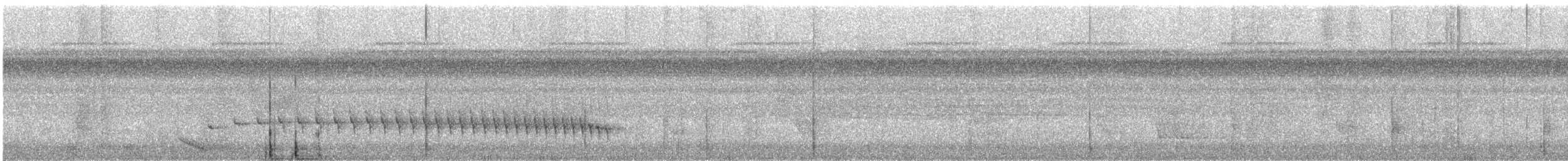 Pygmy Antwren - ML630366477