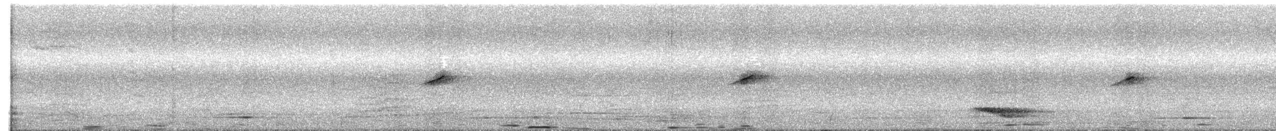 Plumbeous Redstart - ML630368358