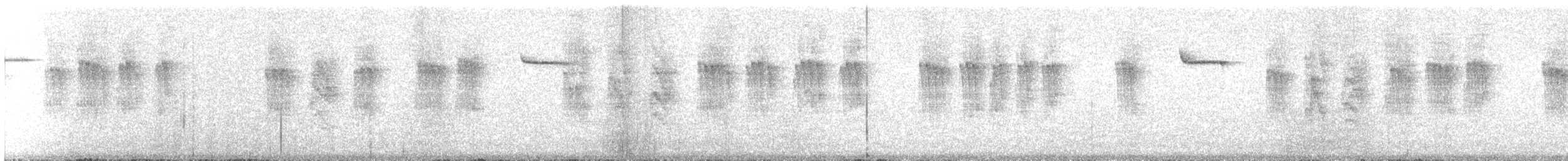 treecreeper sp. - ML630370413