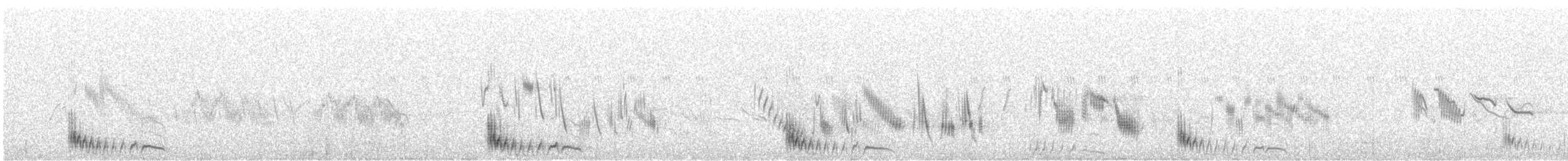 クロハラサケイ - ML630390156