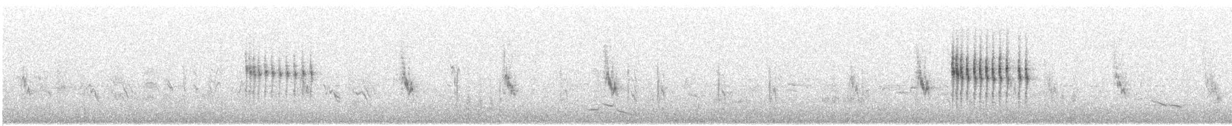 Occhiocotto di Ménétries - ML630390456