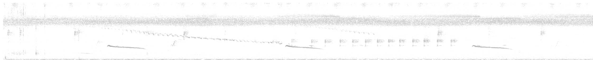 křepelka čínská - ML630393019