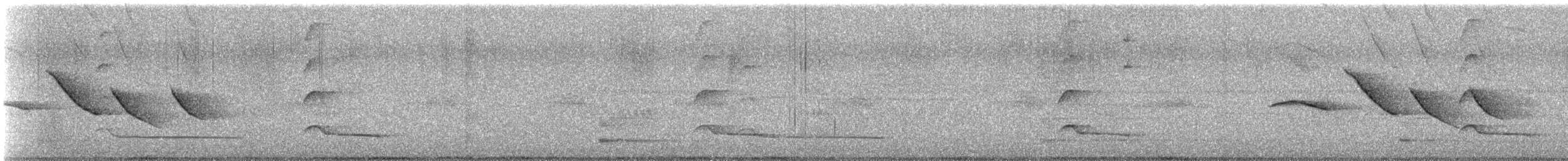 Atila Cabecigrís - ML630394398