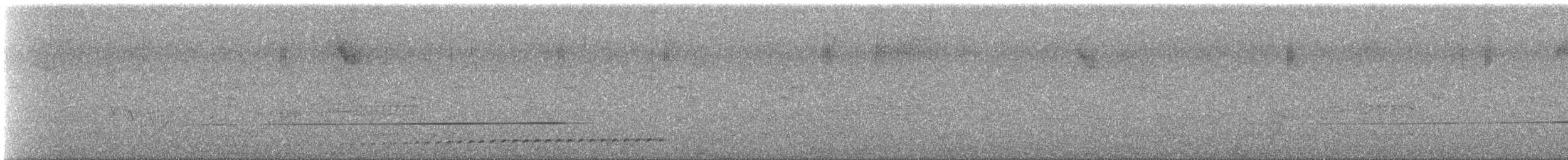 Rufous-tailed Antthrush - ML630394404