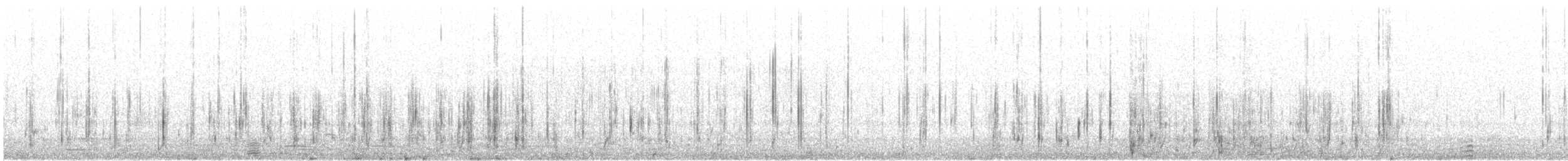 White-winged Scoter - ML630395476