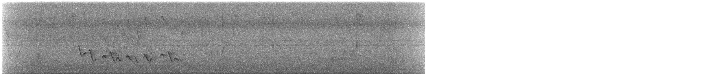 Tangara à diadème - ML630395930