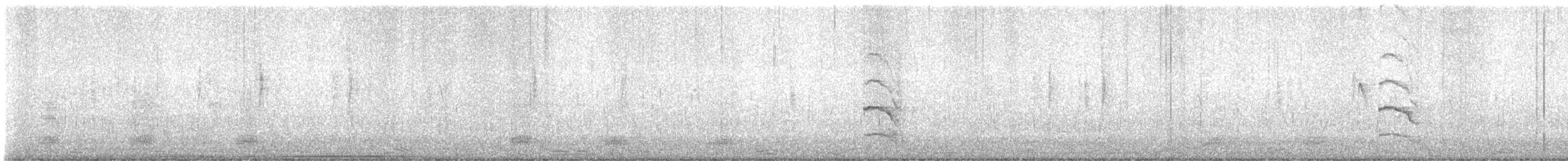 Sora - ML630397397