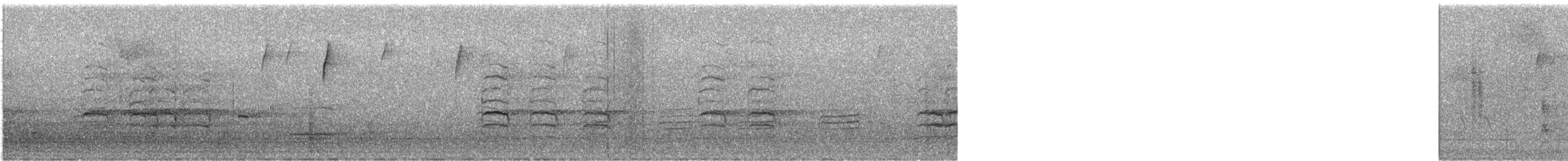 Sittelle à poitrine rousse - ML630399163