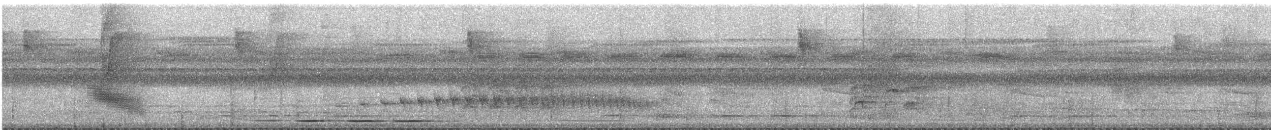 White-crowned Manakin - ML630402447