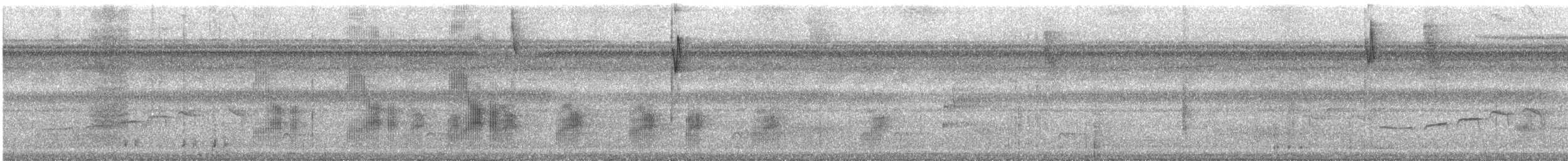 Black-tailed Tityra - ML630404100