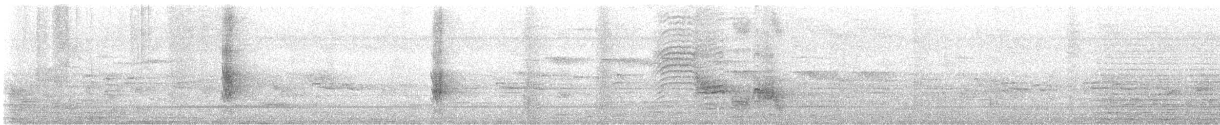 Brahminy Starling - ML630404552