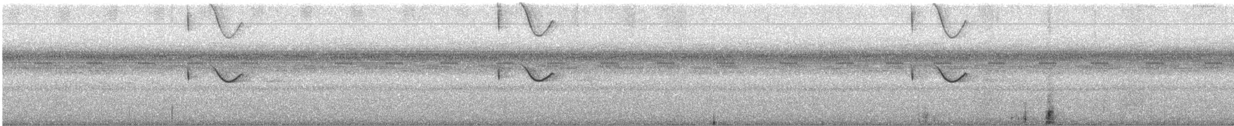 Spot-tailed Nightjar - ML630406699