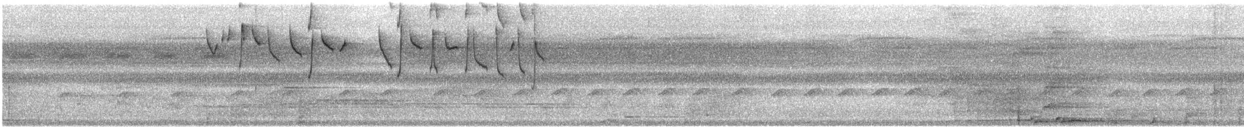 Pale-tailed Barbthroat - ML630407158
