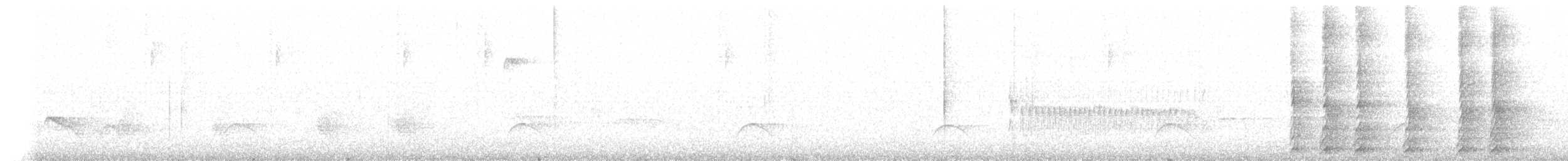 Tourco huet-huet - ML630410354