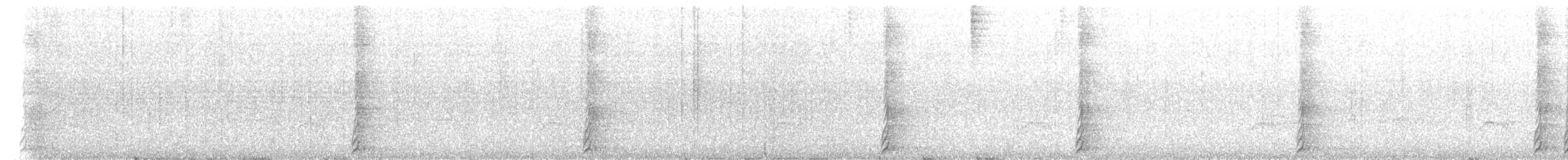 Tourco huet-huet - ML630410475