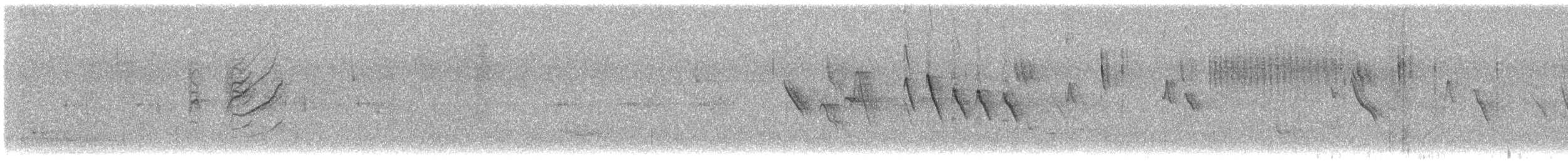 kappirisk - ML630417562