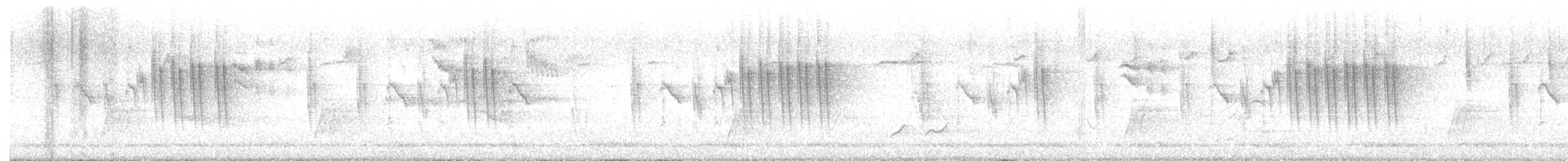 ハイムネハウチワドリ - ML630419627