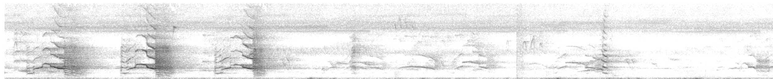 Yellow-tailed Black-Cockatoo - ML630420754