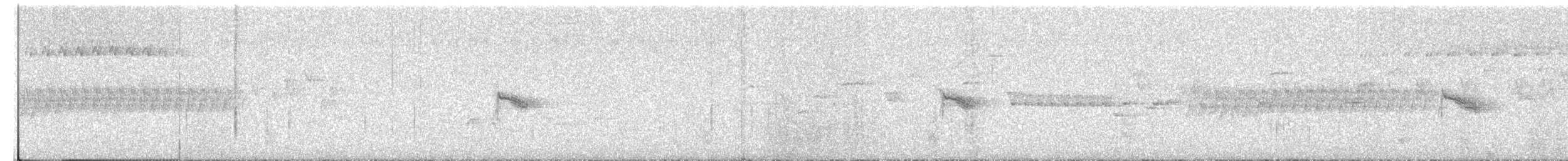Дрізд-короткодзьоб канадський - ML63042241
