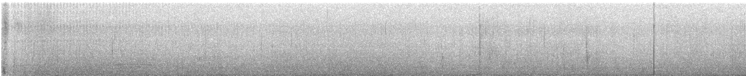 Black Scoter - ML630423692