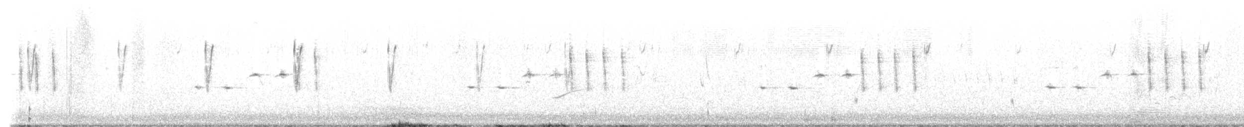 Короткохвостая цистикола - ML630426002