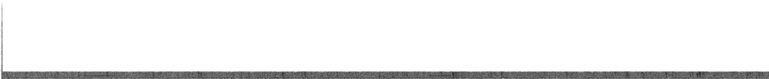 オオウズラバト - ML630428004