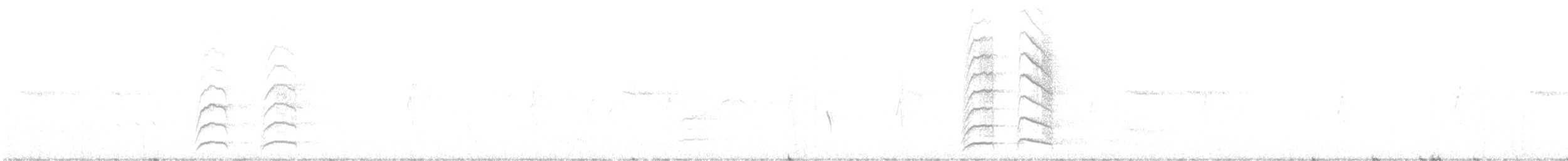 Yellow-plumed Honeyeater - ML630429790