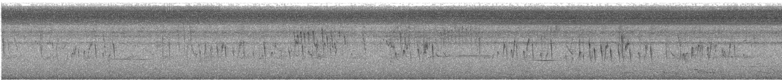 Stutzschwanzsegler - ML630429908