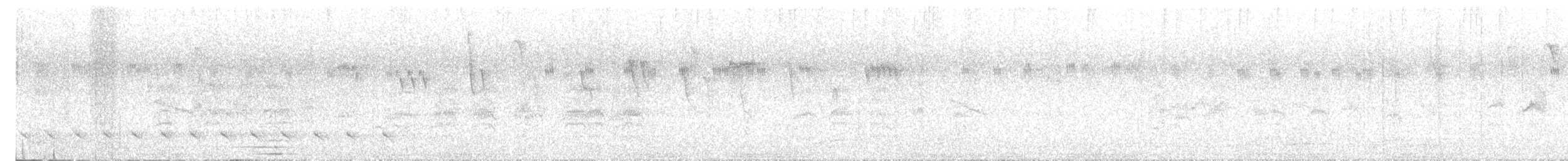 grønnkinnparakitt - ML630437562