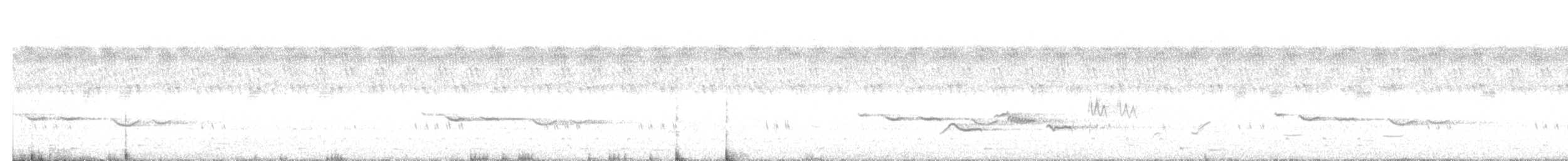 White-browed Scrub-Robin - ML630437926