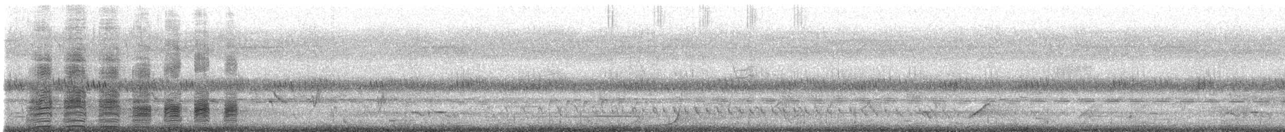 Pacific Black Duck - ML630448200