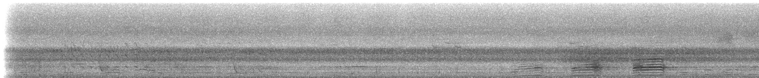 Pacific Black Duck - ML630448370