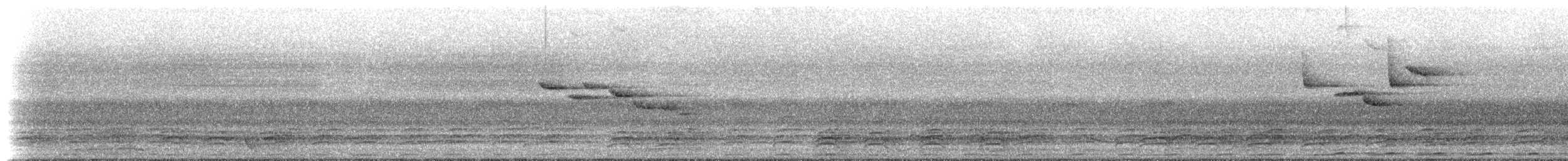 Vogel, unbestimmt - ML630448475