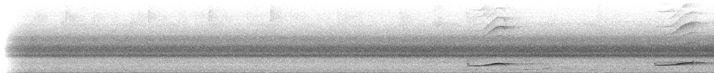 Pazifikkoel (cyanocephalus/subcyanocephalus) - ML630448707