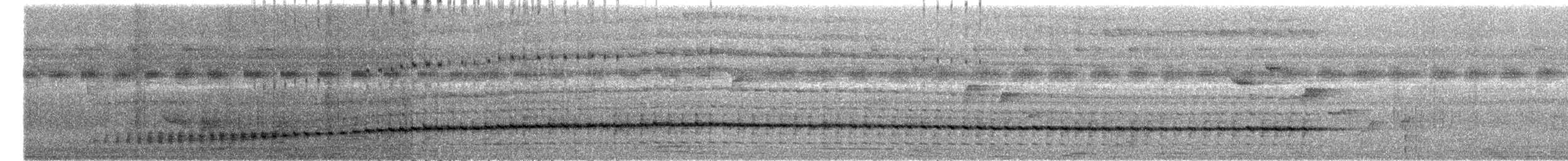 Rossel Cicadabird - ML630458863