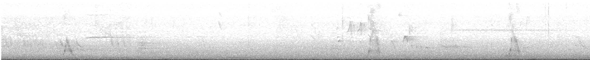 Croaking Ground Dove - ML630464922